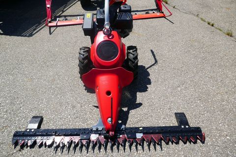 [3600-5843896-5.jpg]