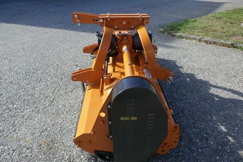 [3600-6197483-12.jpg]