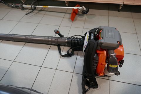 [3600-6256229-6.jpg]