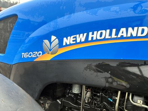 [3600-6481555-5.jpg]