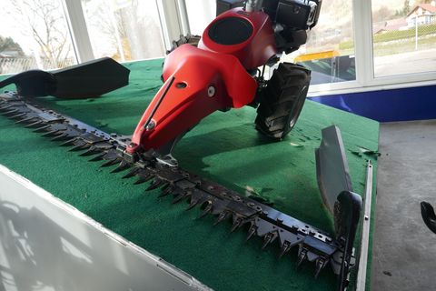 [3600-6484403-9.jpg]