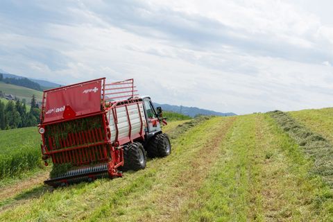 [3600-6679384-1.jpg]