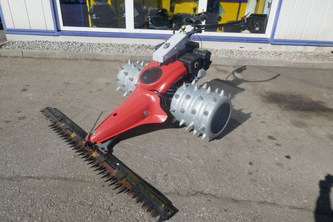 [3600-6757695-0.jpg]