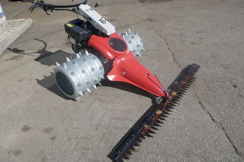 [3600-6757695-1.jpg]