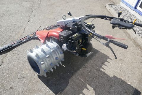 [3600-6757695-4.jpg]