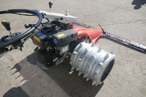 [3600-6757695-6.jpg]