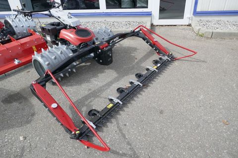[3600-6883563-0.jpg]