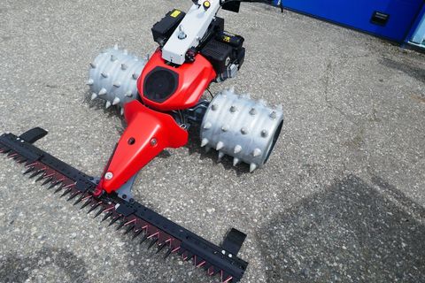 [3600-7186398-9.jpg]