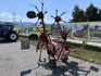 [3600-7384238-3.jpg]
