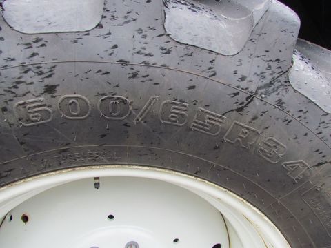 [3886-4180538-6.jpg]