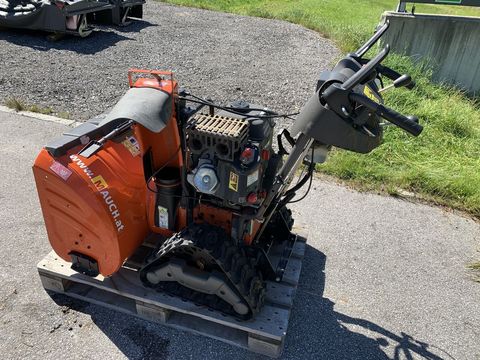 [3944-6120286-8.jpg]