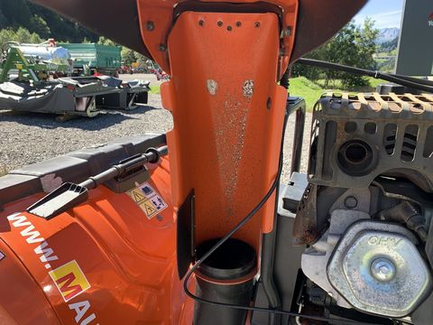 [3944-6120286-9.jpg]