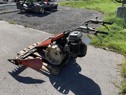 [3944-6130631-7.jpg]