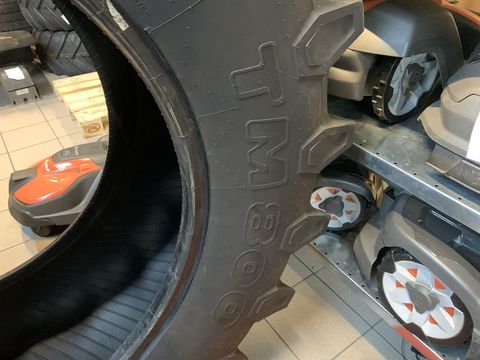 [3944-6499651-2.jpg]