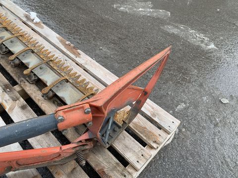 [3944-6681883-7.jpg]