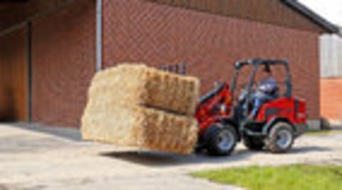 [4079-3087609-4.jpg]