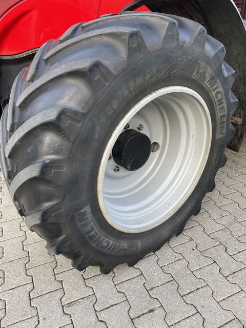 [4079-6395428-8.jpg]