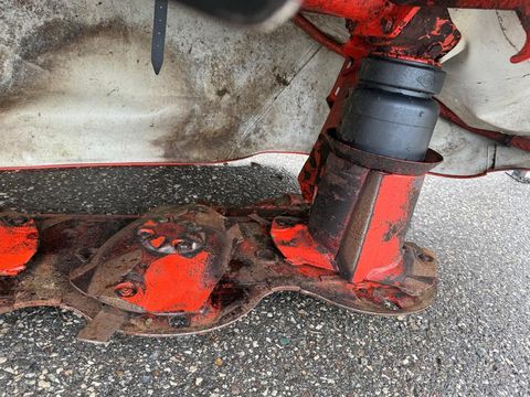 [4750-5985310-8.jpg]