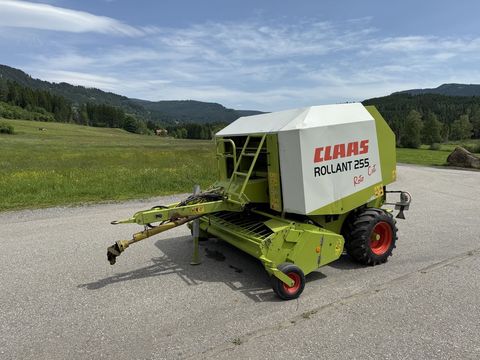 [4750-6406496-4.jpg]