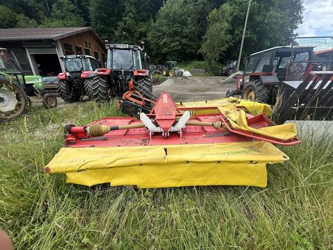 [5032-6047359-0.jpg]