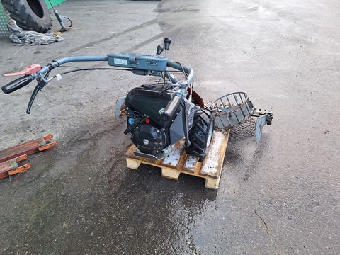 [6029-6550215-2.jpg]