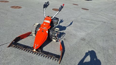[6034-5885943-0.jpg]