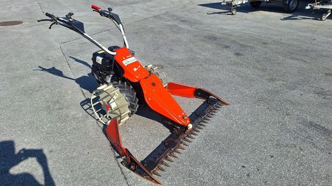 [6034-5885943-2.jpg]