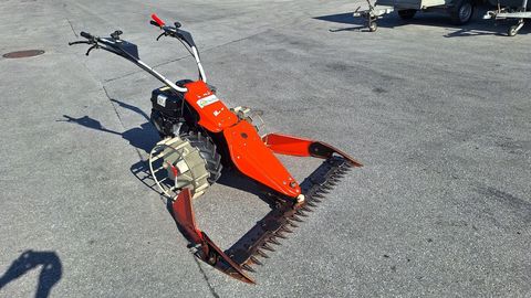 [6034-5885943-3.jpg]