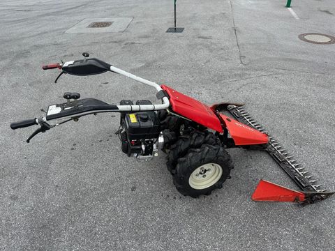 [6034-5986017-2.jpg]