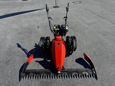 [6034-6440940-0.jpg]