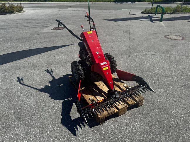 [6034-6496261-0_1.jpg]