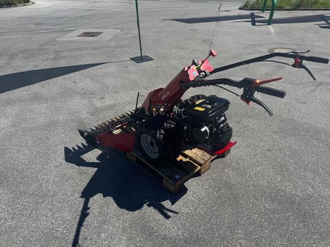 [6034-6496261-4.jpg]