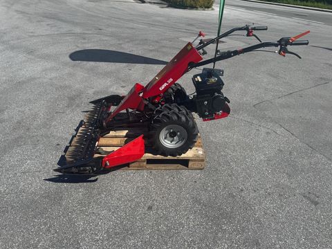 [6034-6496261-7.jpg]