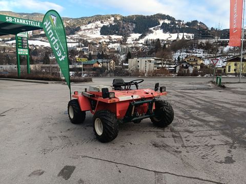 [6034-6754350-0.jpg]