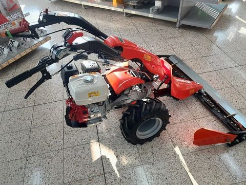 [6732-5744224-3.jpg]