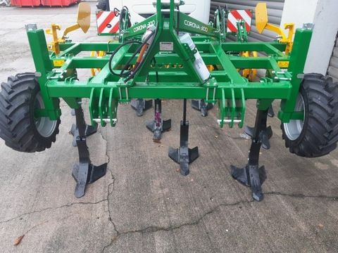 [6732-6298464-5.jpg]