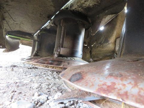 [7455-5217198-9.jpg]