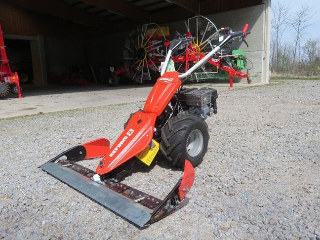 [7455-6455206-0_1.jpg]