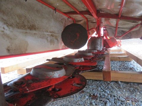 [7455-6518679-12.jpg]