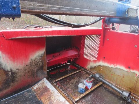 [7455-6518880-10.jpg]