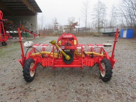 [7455-6526077-2.jpg]